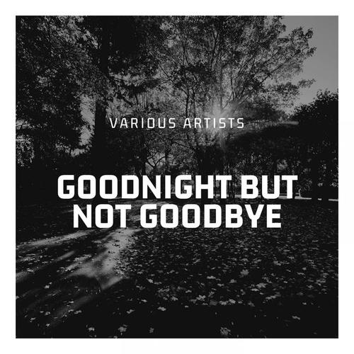 Goodnight But Not Goodbye