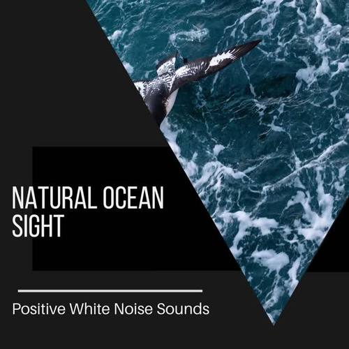 Natural Ocean Sight - Positive White Noise Sounds