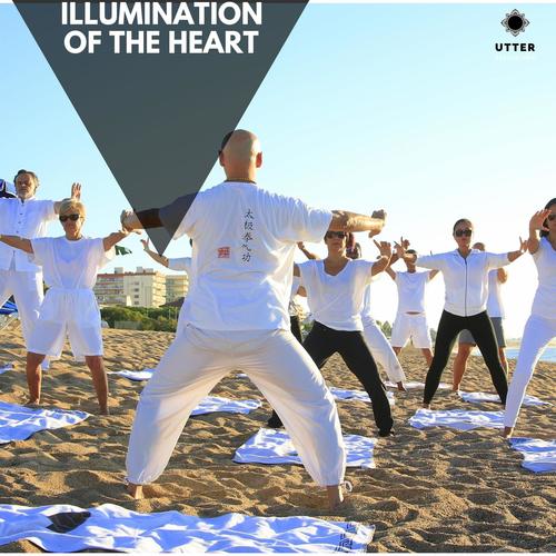 Illumination of the Heart