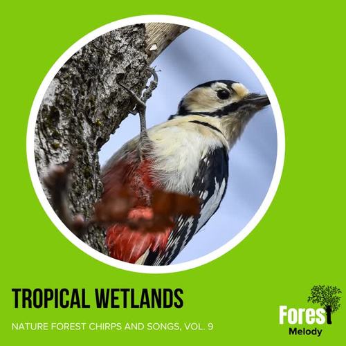 Tropical Wetlands - Nature Forest Chirps and Songs, Vol. 9