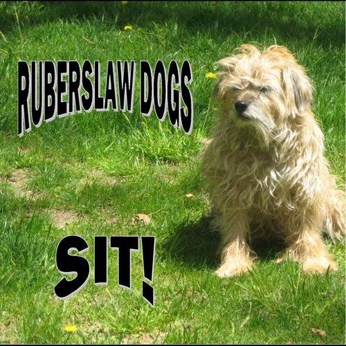 all you need to know_ruberslaw dogs_單曲在線試聽_酷我音樂