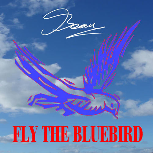 Fly the Bluebird