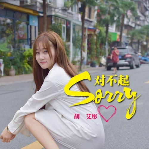 sorry 对不起(伴奏)_胡艾彤_单曲在线试听_酷我音乐