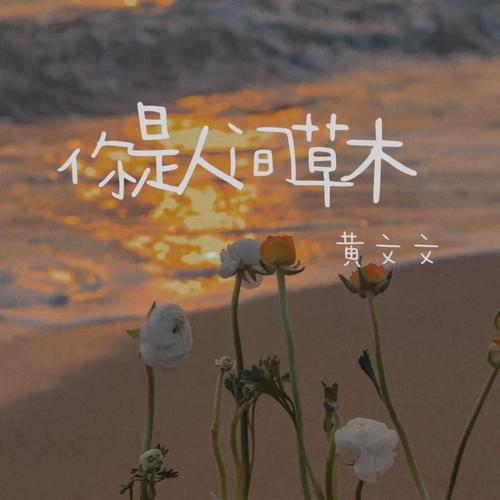 你是人间草木（DJ版） - 黄文文