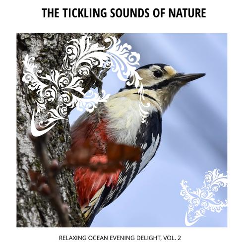 The Tickling Sounds of Nature - Relaxing Ocean Evening Delight, Vol. 2