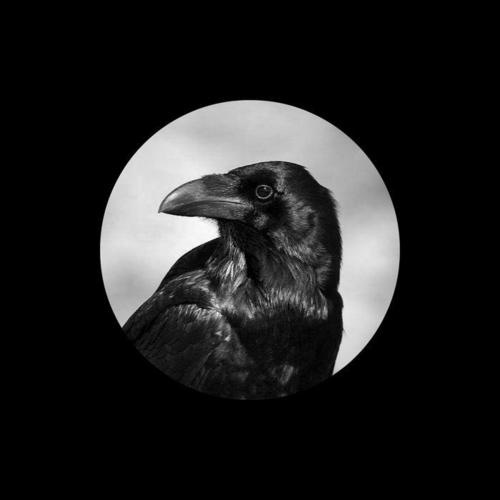 Ice Paper-心如止水.flac 下载插图
