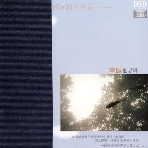 梦一场 - 李健