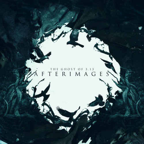 Afterimages