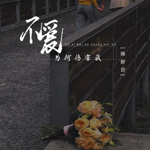 陈舒岩-不爱为何伤害我.flac 下载插图