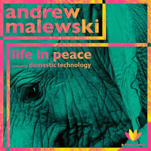 Life in Peace