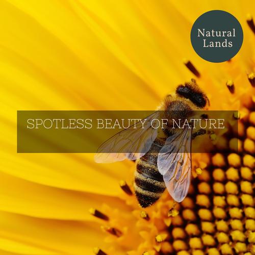 Spotless Beauty of Nature