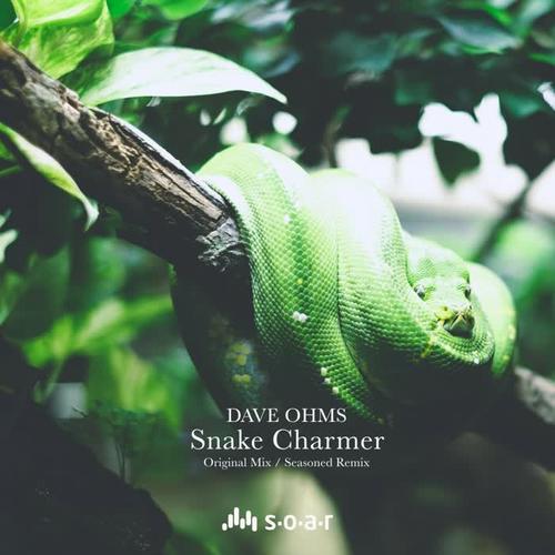 snakecharmer图片