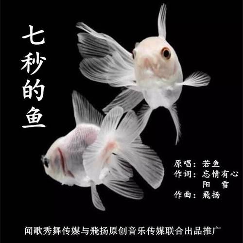 七秒的鱼