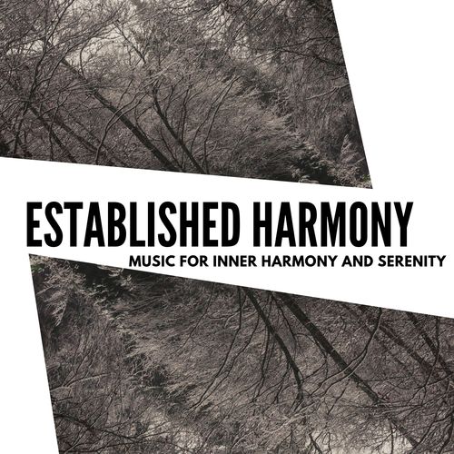 Established Harmony - Music For Inner Harmony And Serenity