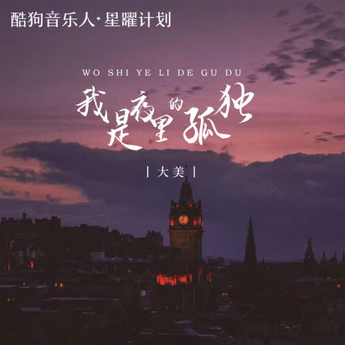 我是夜里的孤独(DJ九锐版) - 大美