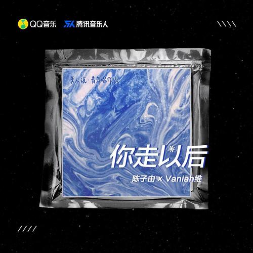 你走以后(Vaniah维/陈子由)