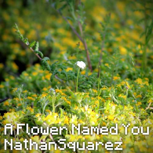A Flower Named You