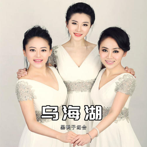 乌海湖_黑鸭子_单曲在线试听_酷我音乐
