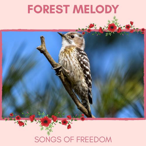 Forest Melody - Songs of Freedom