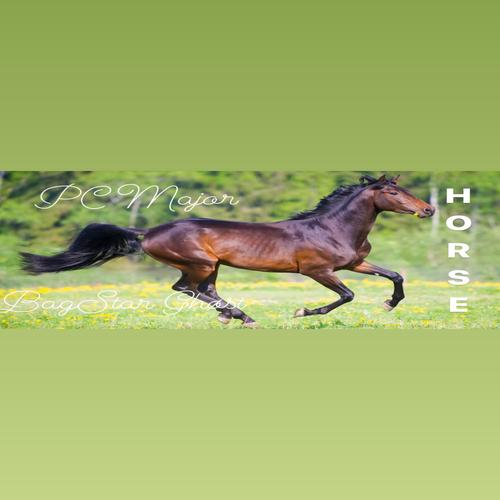 Horse (feat. BagStar Ghost) (Explicit)