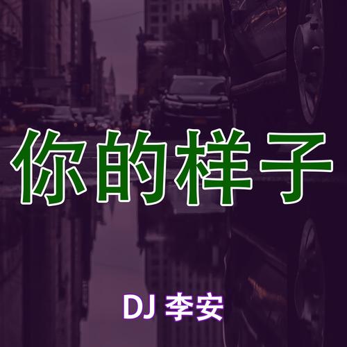 星辰大海 - DJ 李安