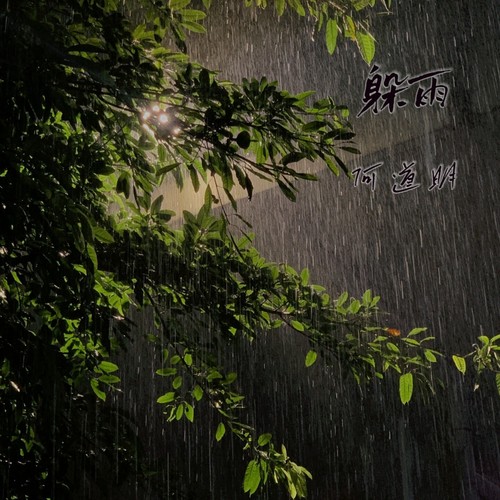 躲雨 - 何道明