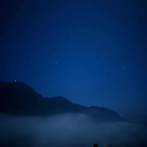 整片花海不见你