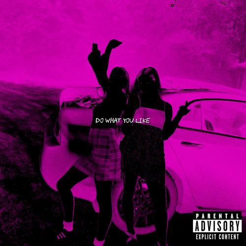 Do What You Like (Explicit)