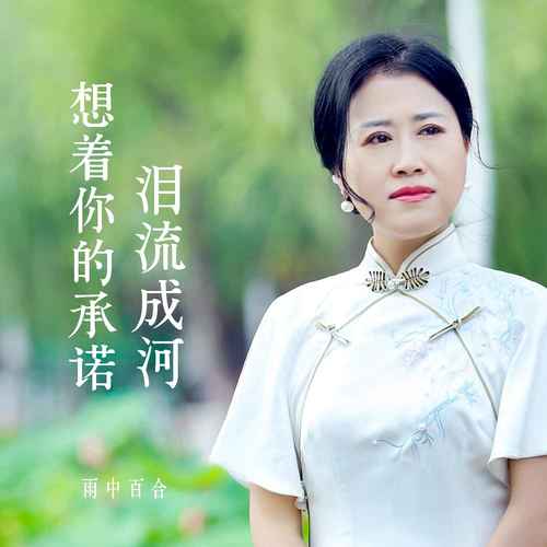想着你的承诺泪流成河