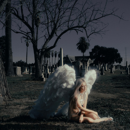 All the Saints of Notre Dame (Stripped)