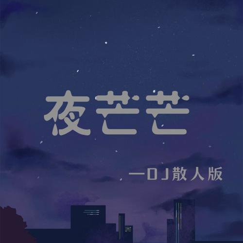 夜茫茫（DJ散人版） - DJ散人