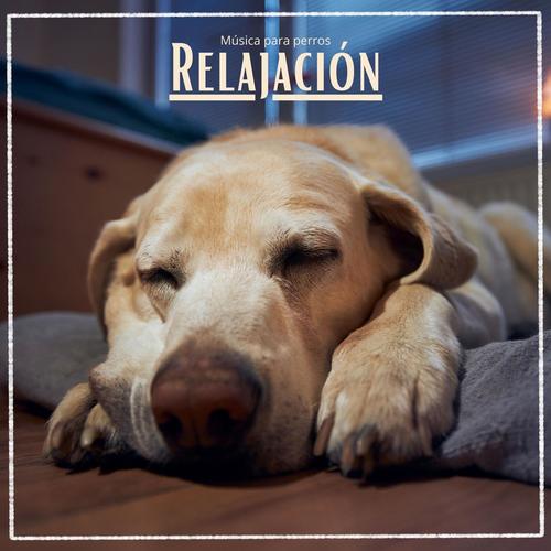 Relajación