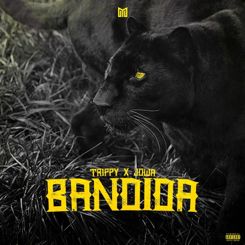 Bandida (Explicit)