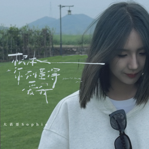 大表哥Sophie-根本你不懂得爱我.flac 下载插图