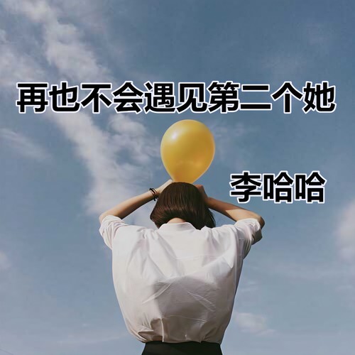 再也不会遇见第二个她 - 李哈哈
