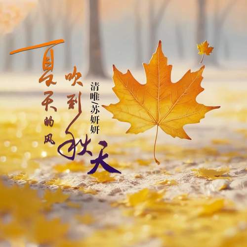 夏天的风吹到秋天 (合唱DJ三金版)