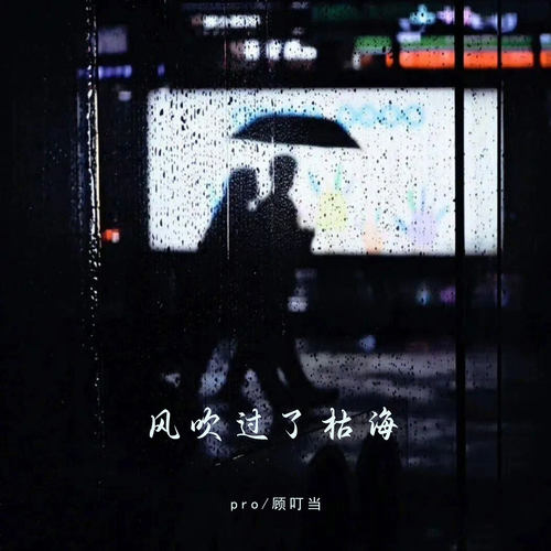 风吹过了枯海