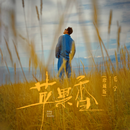 苹果香(毛宁珍藏版)