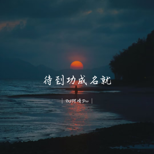 待到功成名就