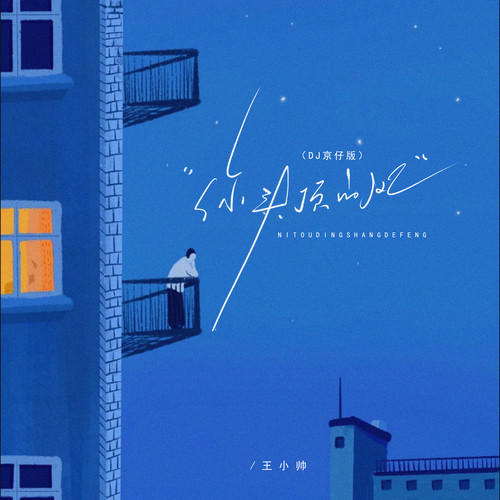 你头顶的风 (DJ版)