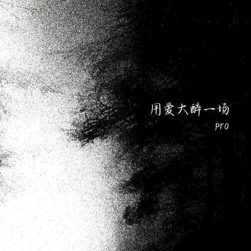 用爱大醉一场