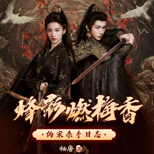 伪宋杀手日志丨烽影燃梅香原著丨王楚然、李宏毅主演丨重生双强
