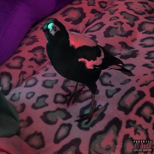 HIT THE SPOT (Explicit)