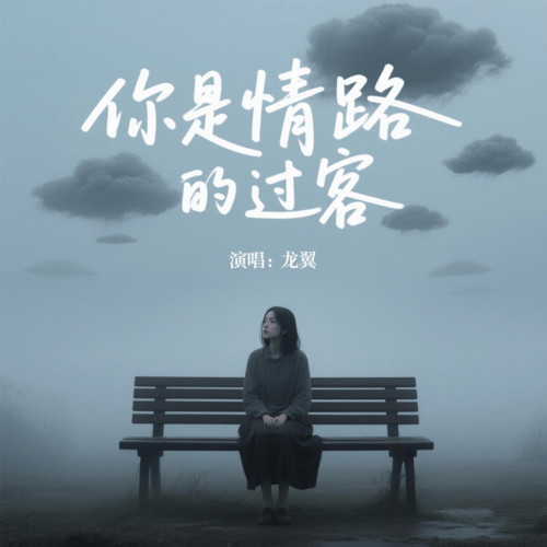 你是情路的过客