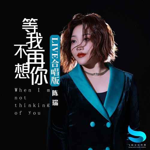 等我不再想你（Live合唱版）