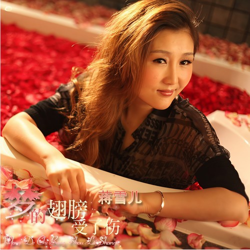 因为你爱上他(DJ版) - 蒋雪儿