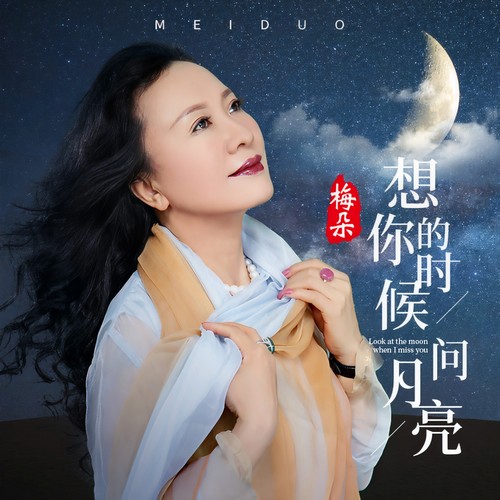 想你的时候问月亮(DJ沈念版) - 梅朵