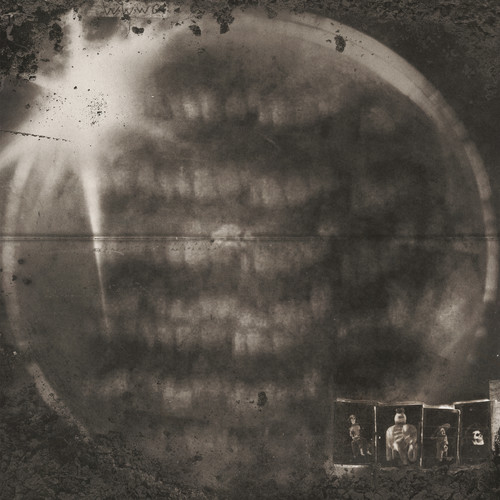 I've Been Trying (Demo)