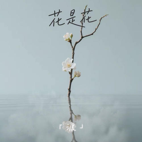 花是花