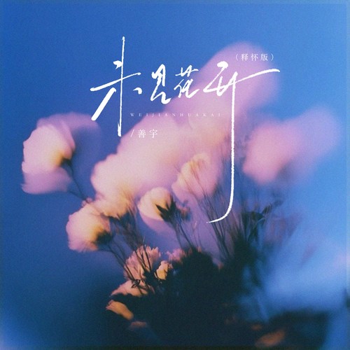 未见花开(释怀版）